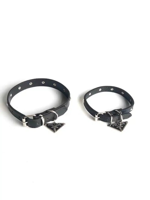 Paula Dog Collar Sleek Harness