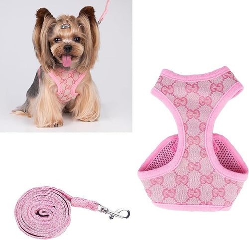 Bella Harness & Leash Warped Set