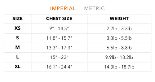 Bella Harness & Leash Warped Set