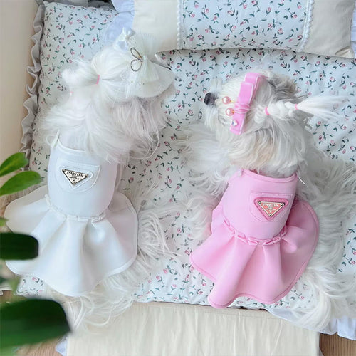 Princess Luny Next Dress