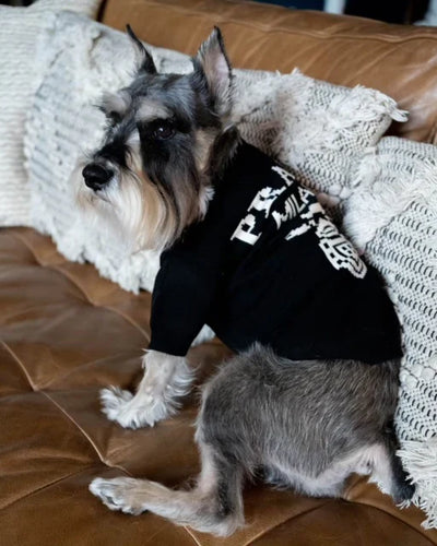 Prada Classic Rawcut Sweater