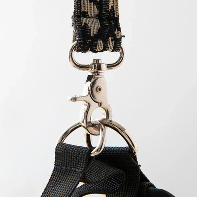 DD Harness & Leash Icy Set