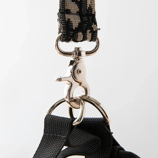 DD Harness & Leash Icy Set