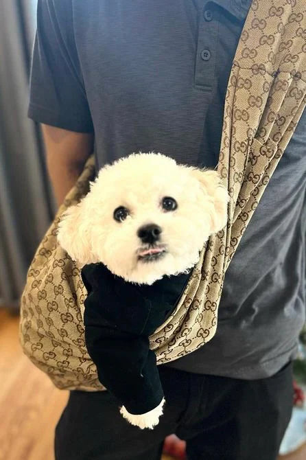 GG Dog Abstract Carrier