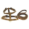 Dina Harness & Leash Vibrant Set