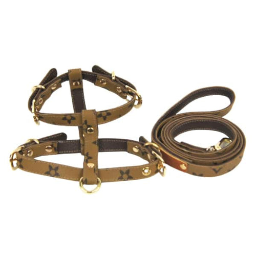 Dina Harness & Leash Vibrant Set