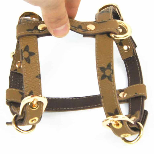 Dina Harness & Leash Vibrant Set