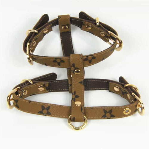 Dina Harness & Leash Vibrant Set