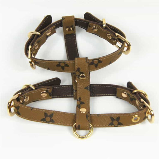Dina Harness & Leash Vibrant Set