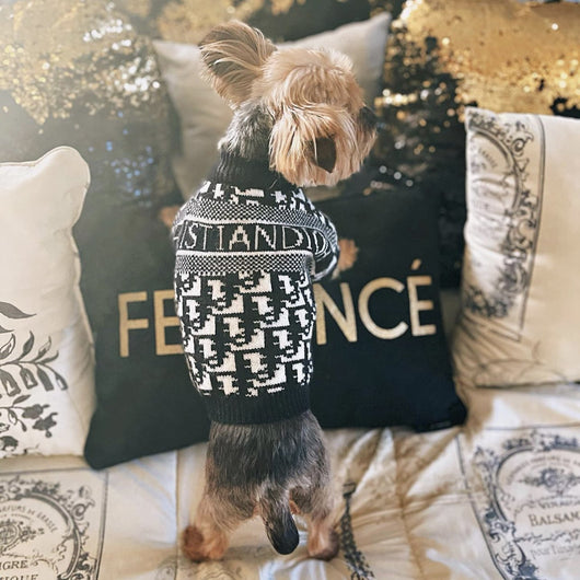Boss Hype Fly Doggo Crisp Sweater