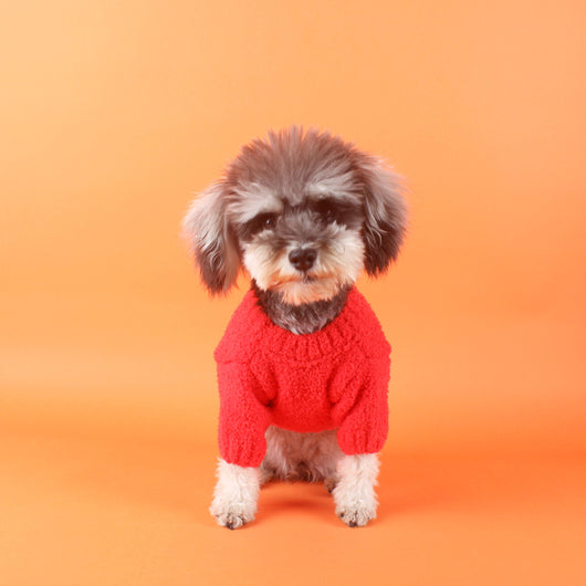 CC Classic FancySweater