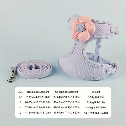 Flowy Harness & Leash Throwie Set