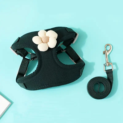 Flowy Harness & Leash Throwie Set