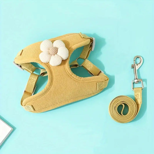 Flowy Harness & Leash Throwie Set