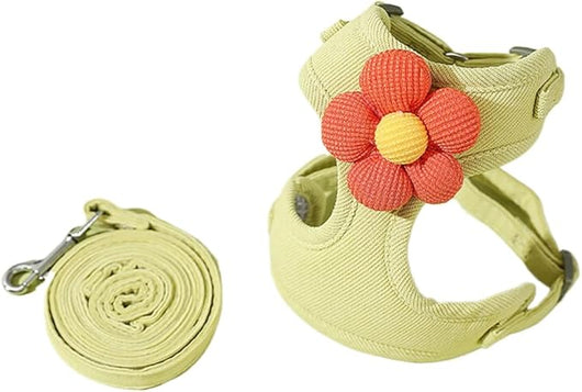 Flowy Harness & Leash Throwie Set