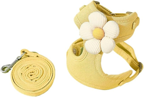 Flowy Harness & Leash Throwie Set