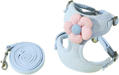 Flowy Harness & Leash Iconic Set