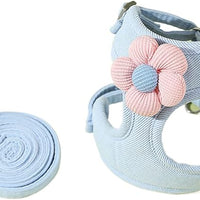 Flowy Harness & Leash Throwie Set