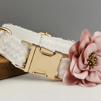 Cuty Collar & Leash piece Vintage Set