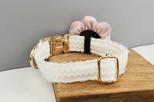 Cuty Harness piece Adorable Set