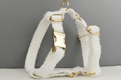 Cuty Harness piece Adorable Set