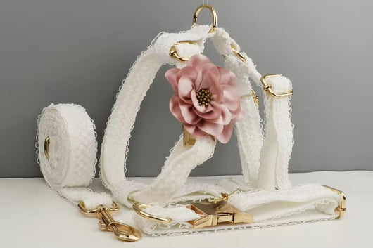 Cuty Harness piece Adorable Set