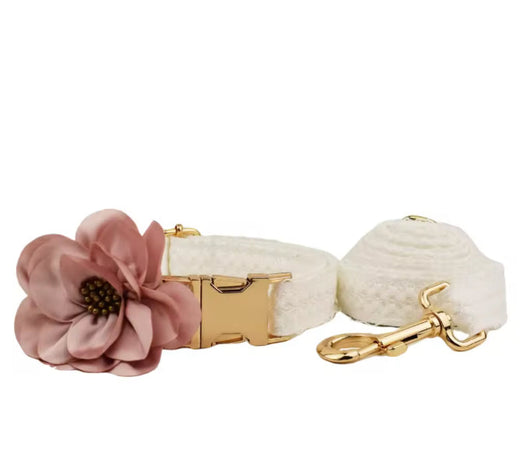 Cuty Collar & Leash piece Vintage Set