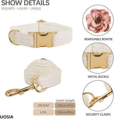 Cuty Harness piece Adorable Set