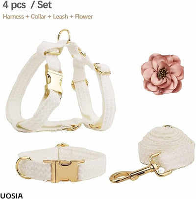 Cuty Harness piece Adorable Set