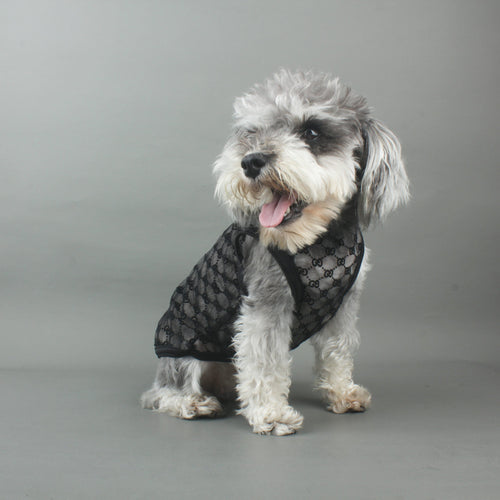 Black Double G Summer Vibrant Vest