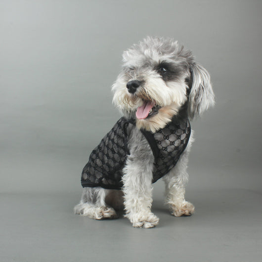 Black Double G Summer Vibrant Vest
