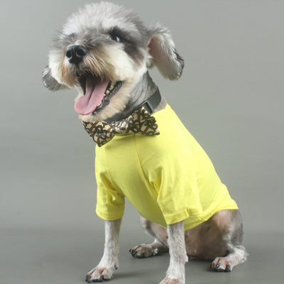 Dapper Paws: Bow Unseen Tie