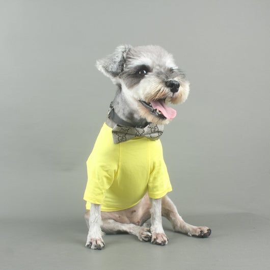 Dapper Paws: Bow Unseen Tie