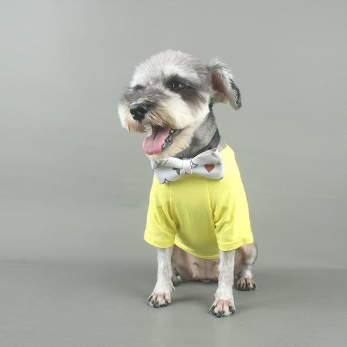 Dapper Paws: Bow Unseen Tie