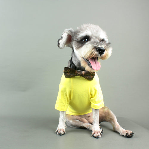 Dapper Paws: Bow Unseen Tie