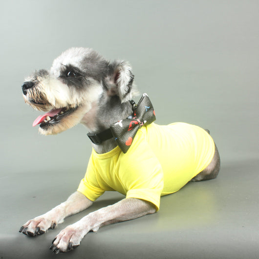Dapper Paws: Bow Unseen Tie