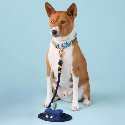 Ocean Blue Nylon Rope Dog Leash