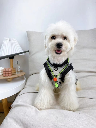 Best Dog Retro Shirts