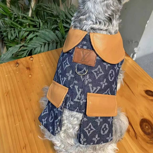 Classy Dog Coat With Layered Harness