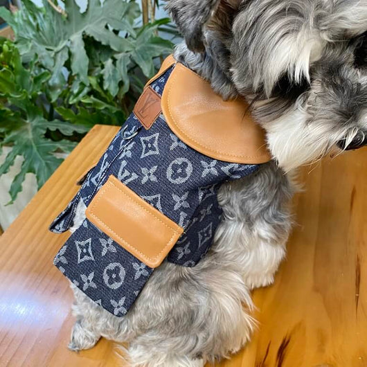 Classy Dog Coat With Layered Harness