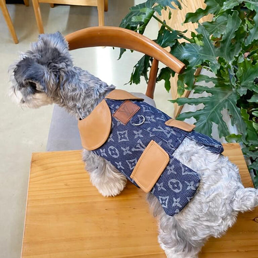 Classy Dog Coat With Layered Harness