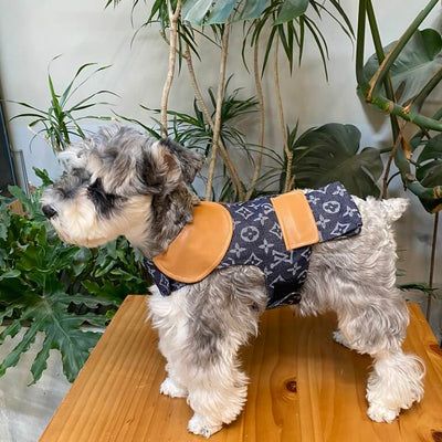 Classy Dog Coat With Layered Harness