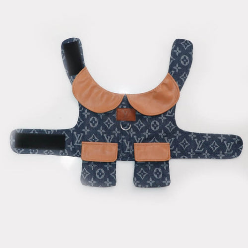 Classy Dog Coat With Layered Harness
