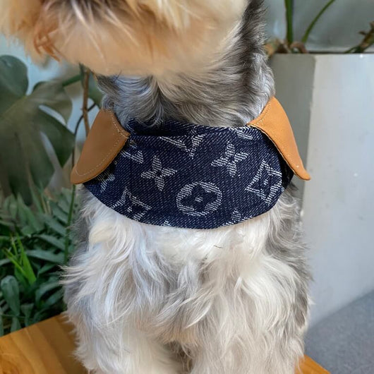 Classy Dog Coat With Layered Harness