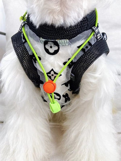 Mesh Dog Vibrant Dress