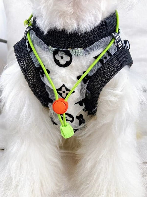 Mesh Dog Vibrant Dress