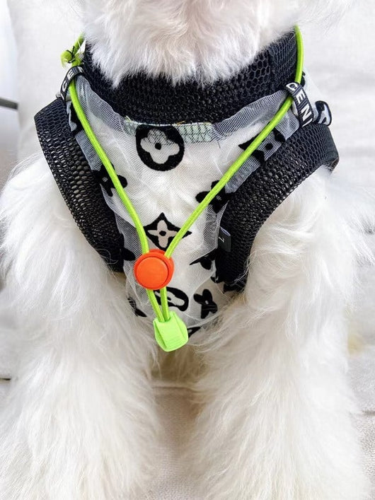 Mesh Dog Vibrant Dress