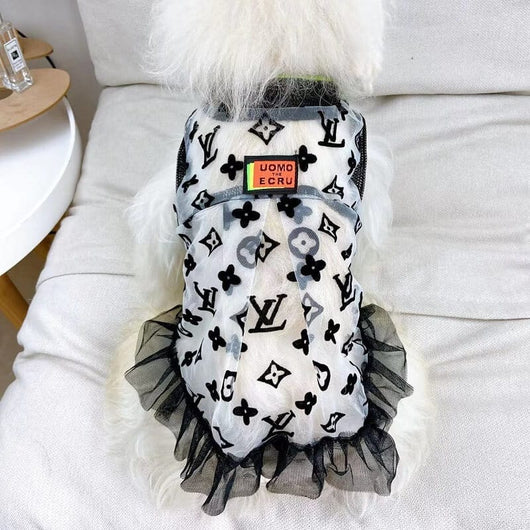 Mesh Dog Vibrant Dress