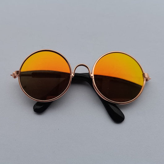 Pup Swag Vibrant Shades