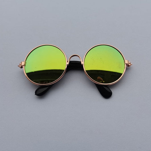 Pup Swag Vibrant Shades